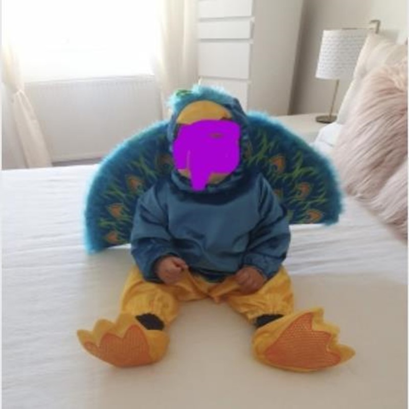Costume de dinosaure d'Hallowe - Baby Clothing High Quality avis et prix